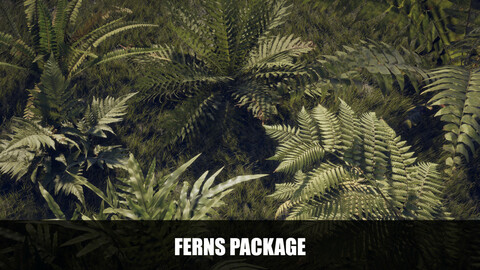 Ferns Package
