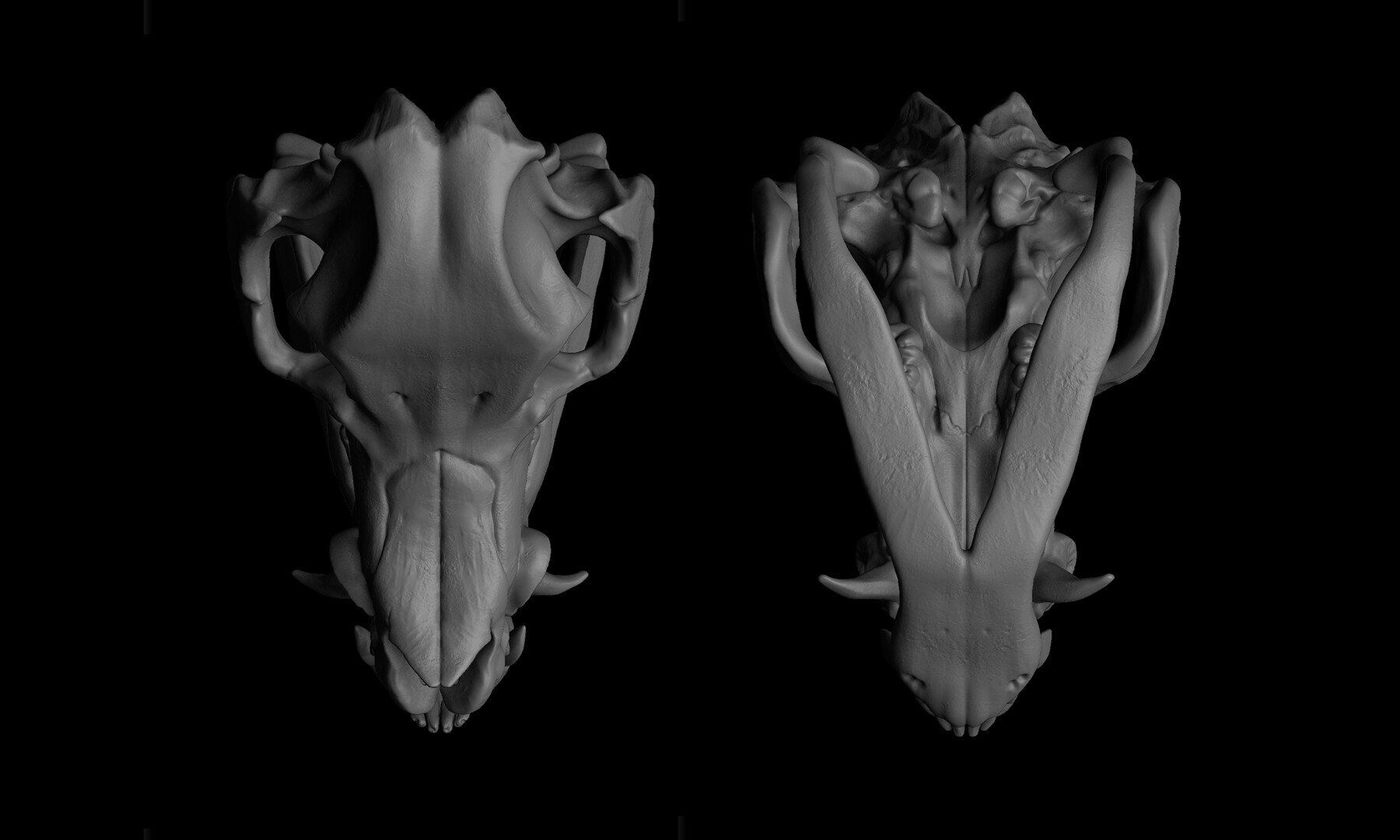 ArtStation - Pig Skull | Game Assets