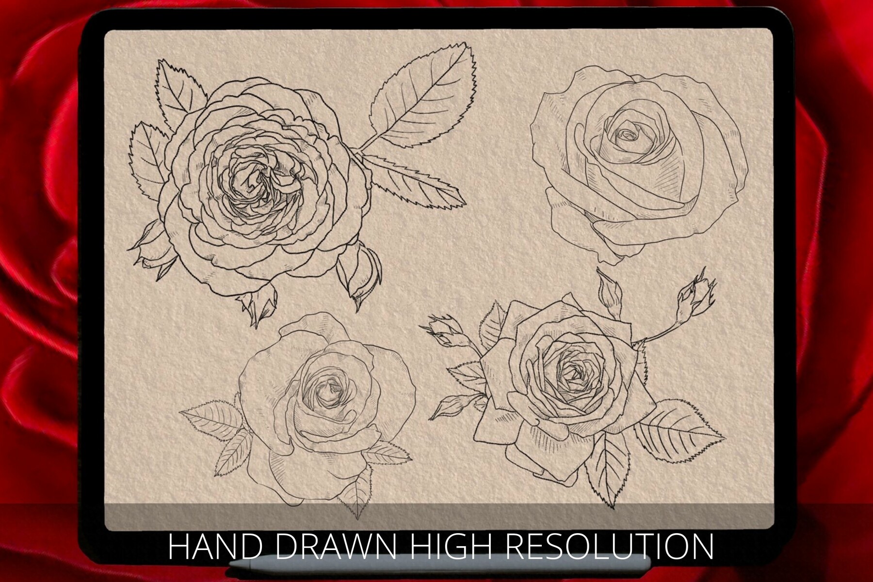 ArtStation Roses Procreate, procreate rose stamps, Procreate rose, roses line art, rose stamps