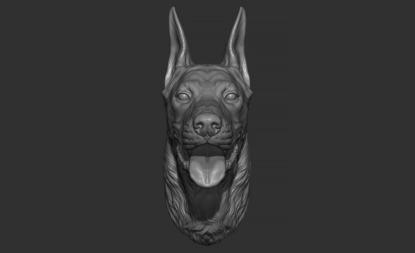 ArtStation - Doberman head | Resources