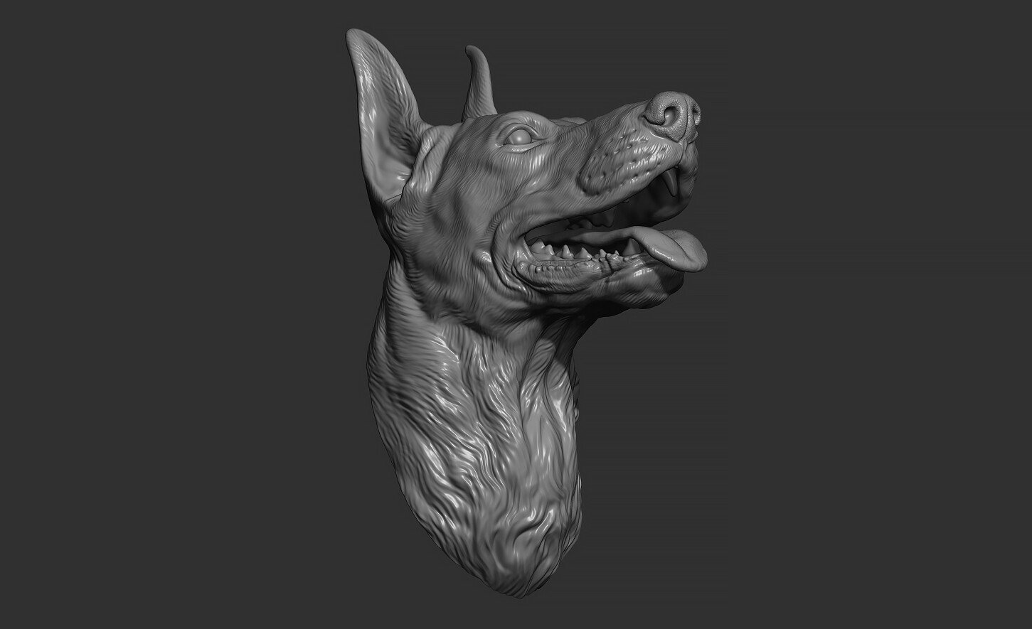 Artstation - Doberman Head 