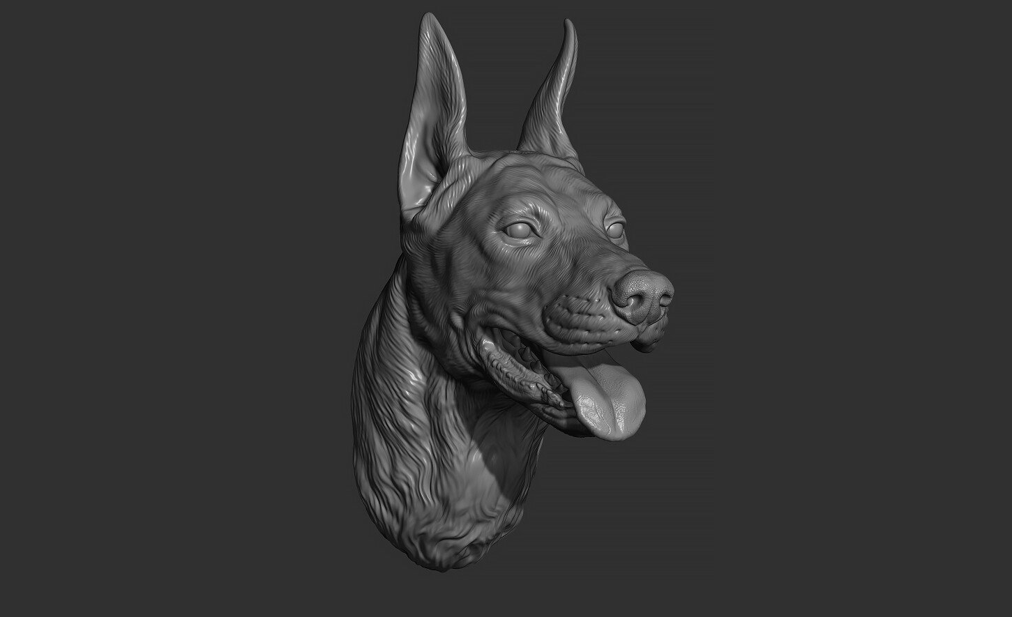 ArtStation - Doberman head | Resources