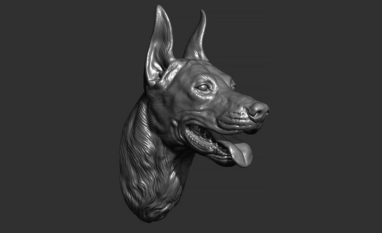 ArtStation - Doberman head | Resources