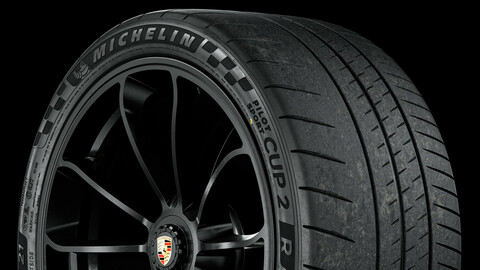 Michelin Pilot Sport CUP 2 R • 315/30 ZR21 (105Y) (Real World Details) Porsche GT3 7th GEN