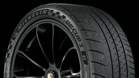 Michelin Pilot Sport CUP 2 R • 255/35 ZR20 (97Y) (Real World Details) Porsche GT3 7th GEN
