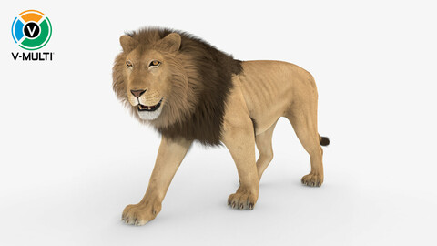 3D Model: Lion Rigged