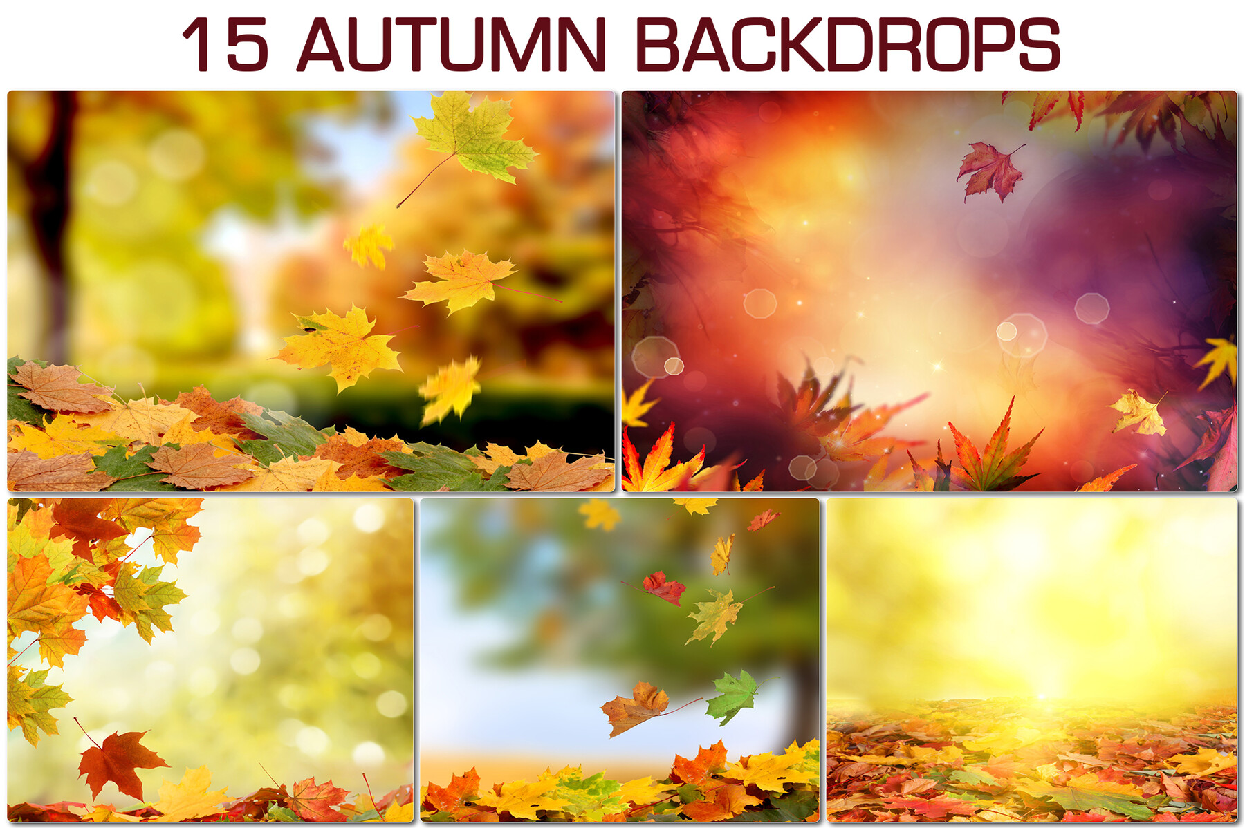ArtStation - 15 Autumn backdrop, dreamy fall backdrops, photography ...