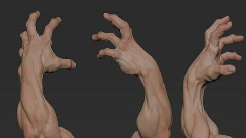 Arms Gesture1