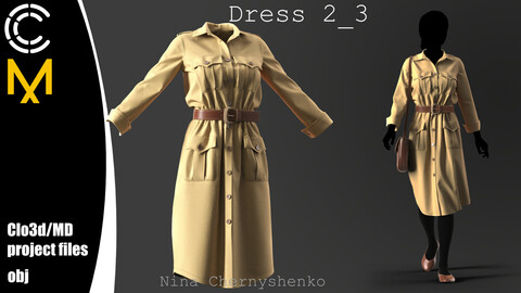 Dress 2_3. Marvelous Designer/Clo3d project + OBJ.