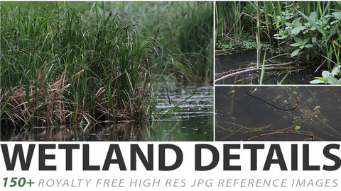 Wetland Details - reference images