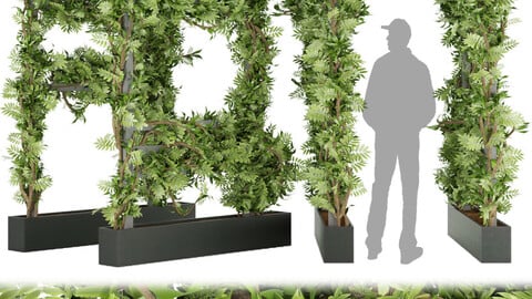 Collection plant vol 29 - ivy - leaf - blender - 3dmax - cinema 4d