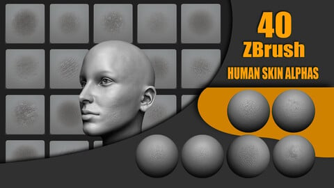 40 High Detailed Human Skin Alpha