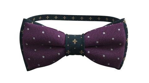 Bow Tie V2 (Marvelous Designer / Clo 3D project+OBJ)
