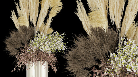 Collection plant vol 77 - dried - flowers - Bouquet - blender - 3dmax - cinema 4d