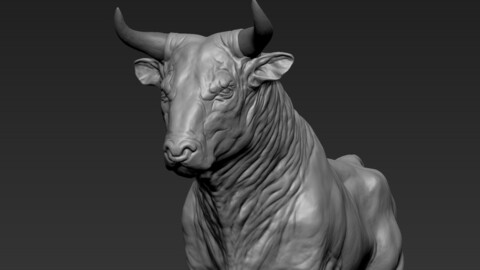 Bull Realistic Sculpt
