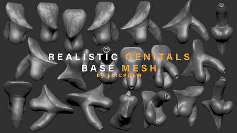 Realistic male genitals base mesh ZTL & OBJ