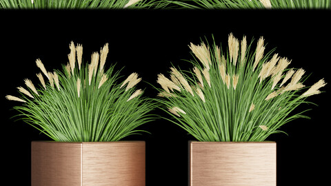 Collection plant vol 121 - grass - leaf - blender - 3dmax - cinema 4d