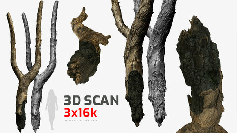 Burnt Tree Trunk  8x4k \ 1x16k \ 3x16k Textures Raw 3D scan