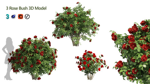 3 Red Rose Flower Bush Low Poly