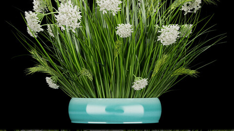 Collection plant vol 138 - grass - leaf - flower - blender - 3dmax - cinema 4d