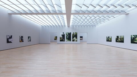 Art Museum Gallery Interior 32