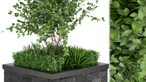 Collection plant vol 164 - tree - leaf - blender - 3dmax