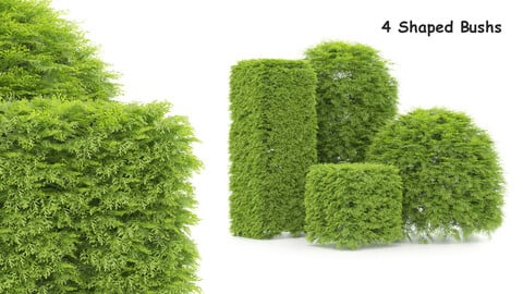 4 Shaped Bush plants