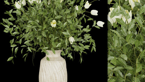 Collection plant vol 186 - flower - leaf - blender - 3dmax - cinema 4d