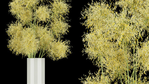 Collection plant vol 187 - flower - leaf - blender - 3dmax - cinema 4d