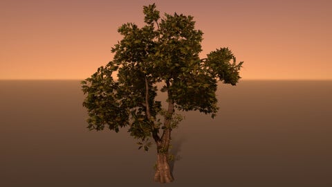 PBR Tree
