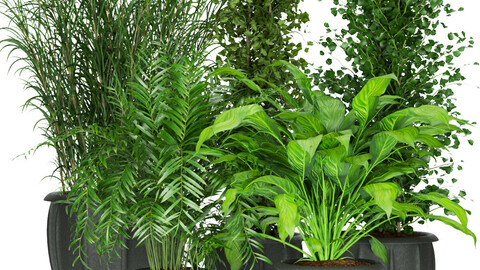 Collection plant vol 231 - leaf - blender - 3dmax - cinema 4d