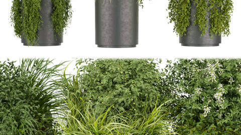 Collection plant vol 232 - leaf - grass -  blender - 3dmax - cinema 4d