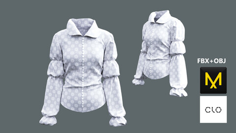 Blouse. Marvelous Designer/Clo3d project + OBJ + FBX