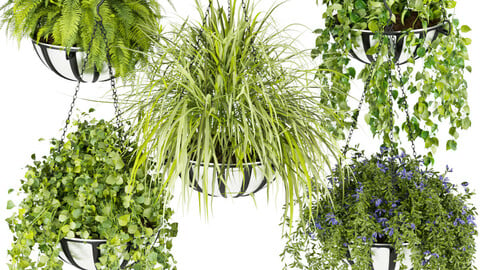 Collection plant vol 240 - leaf - grass - hanging  - blender - 3dmax