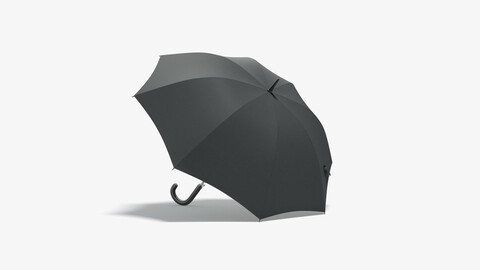 Black Opened Umbrella