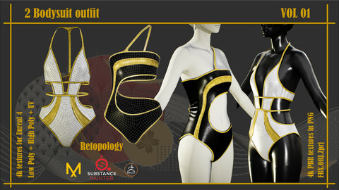 2 Bodysuit outfit _VOL 01(Low poly + High poly + PBR Textures + Unreal 4 Textures + ZPRJ file)