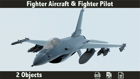 3D Fighter Aircraft & Fighter Pilot