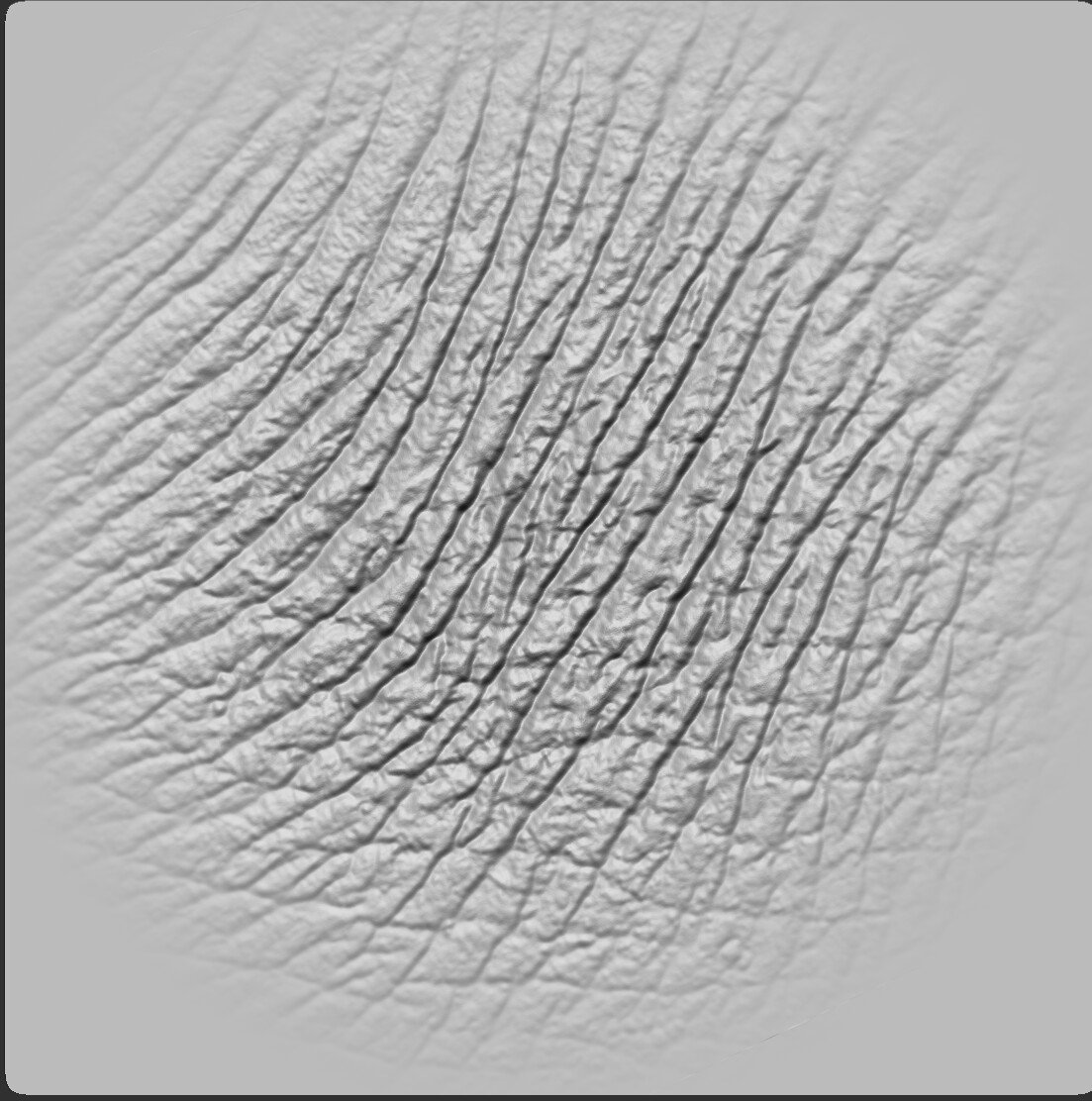 ArtStation - 10 Elephant Skin Alphas (High Quality Detail) | Brushes