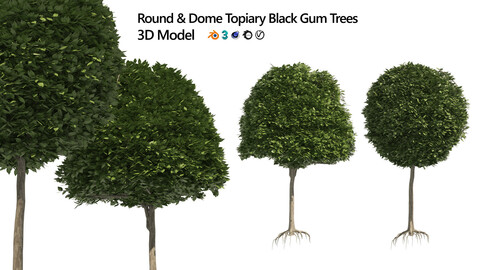 2 round and dome topiary tree