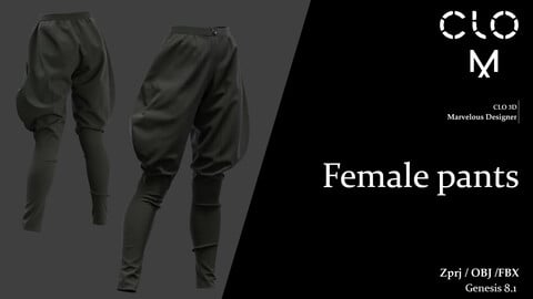 Female pants / Marvelous Designer/Clo3D project file + OBJ