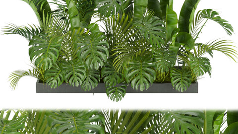 Collection plant vol 300 - outdoor - banana - monstera - leaf - blender - 3dmax - cinema 4d