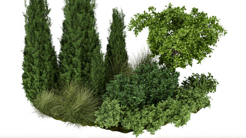 Collection plant vol 305 - outdoor - tree - grass - bush - blender - 3dmax - cinema 4d