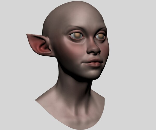 ArtStation - Stylized Female Head A | Resources