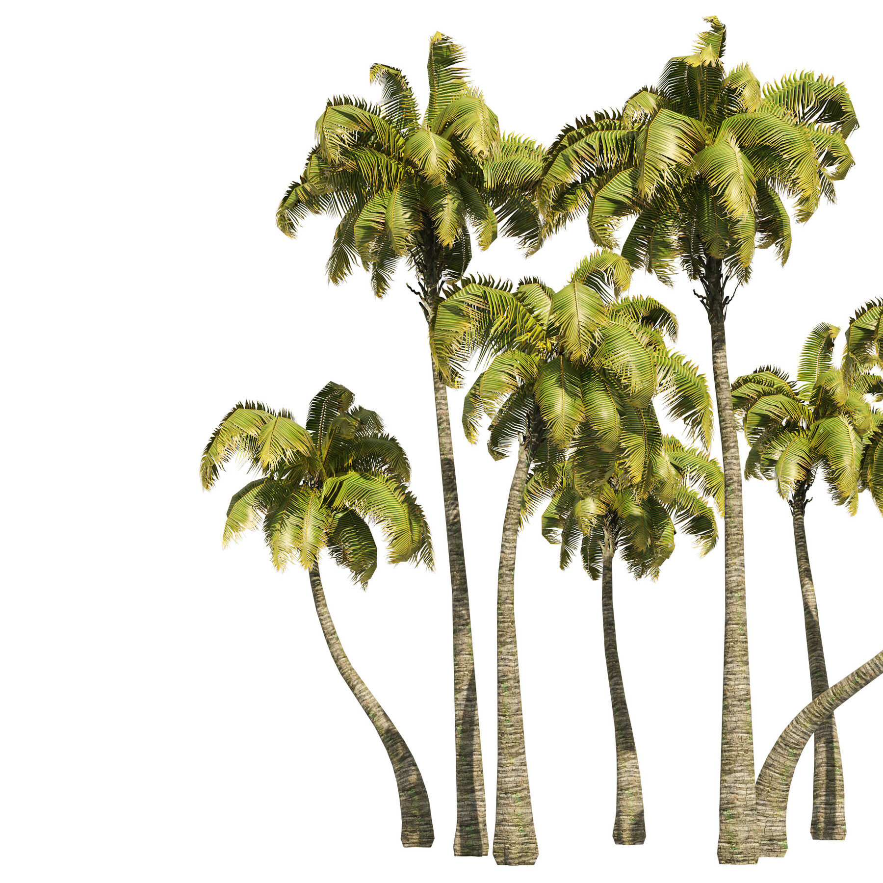 ArtStation - Coconut tree beach, low poly | Resources