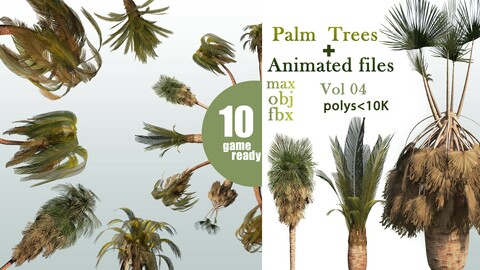 10 Palm Trees VOL 04  +  Animated Files