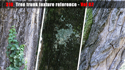 Tree trunk texture reference - Vol 02