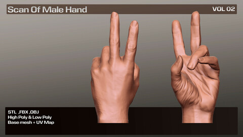 3D Scan Real Male Hand VOL 02