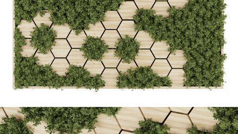 Collection plant vol 327 - fitowall - leaf - wood - blender - 3dmax - cinema 4d