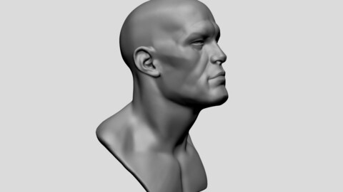 Base Male Head A