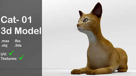 Cat 01_ 3d model